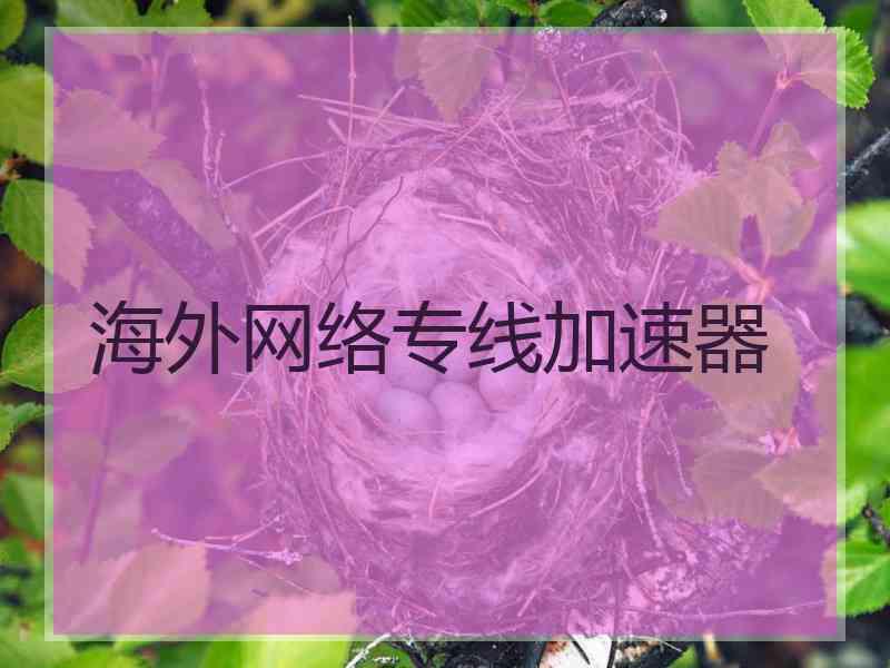 海外网络专线加速器