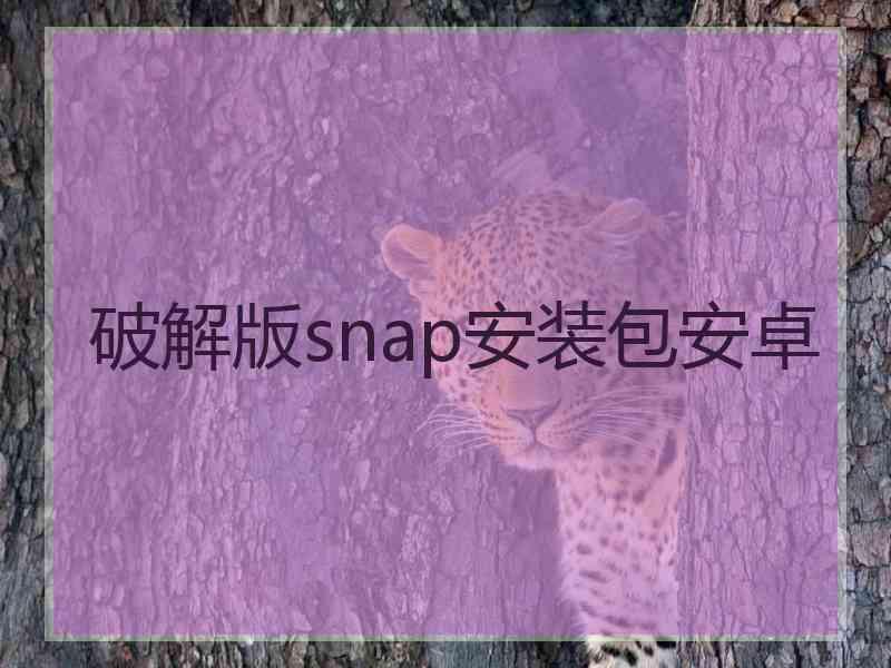 破解版snap安装包安卓