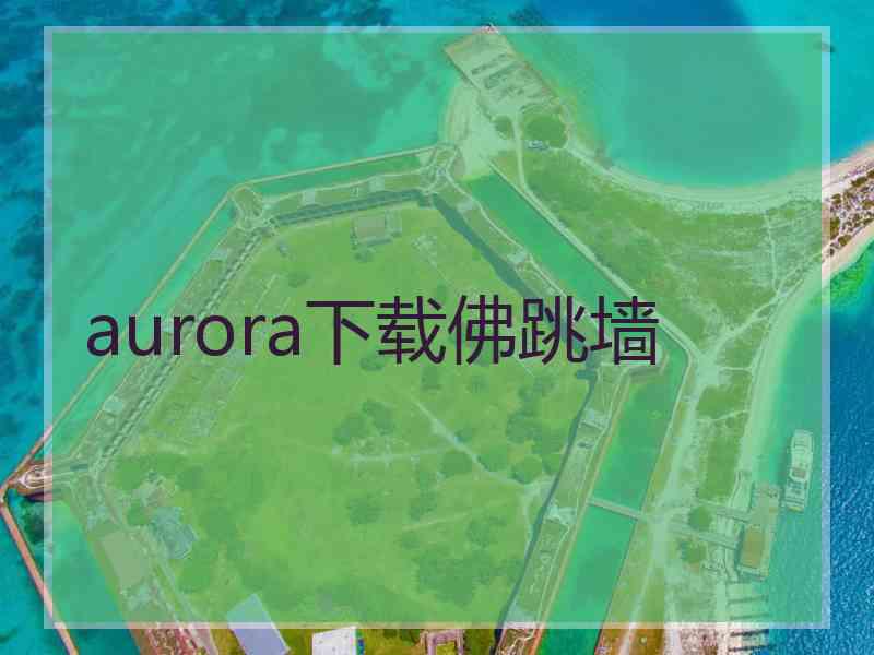 aurora下载佛跳墙