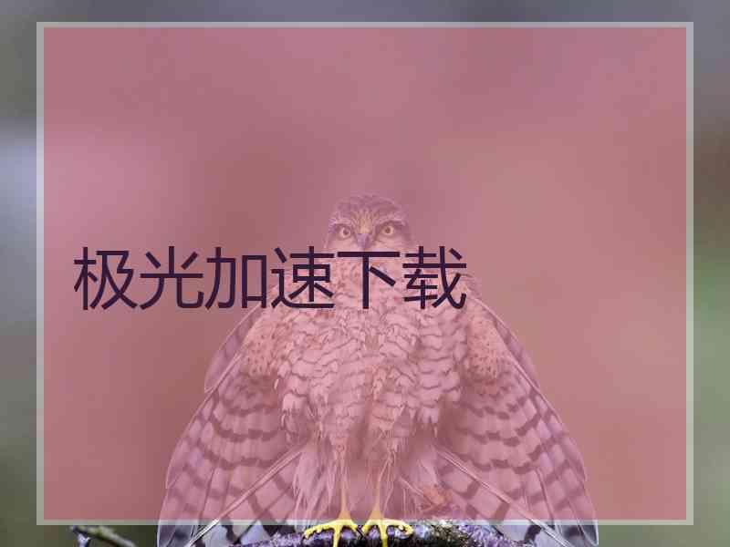 极光加速下载