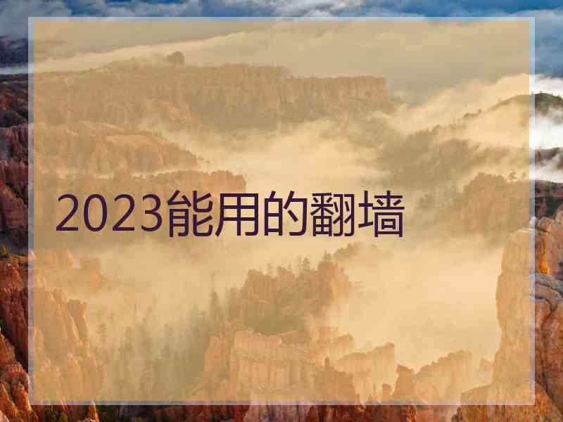 2023能用的翻墙