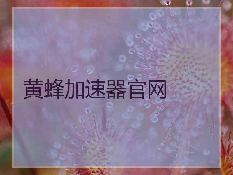 黄蜂加速器官网