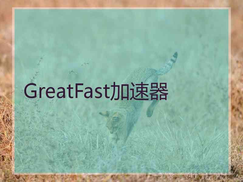 GreatFast加速器