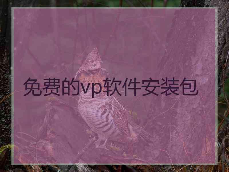 免费的vp软件安装包