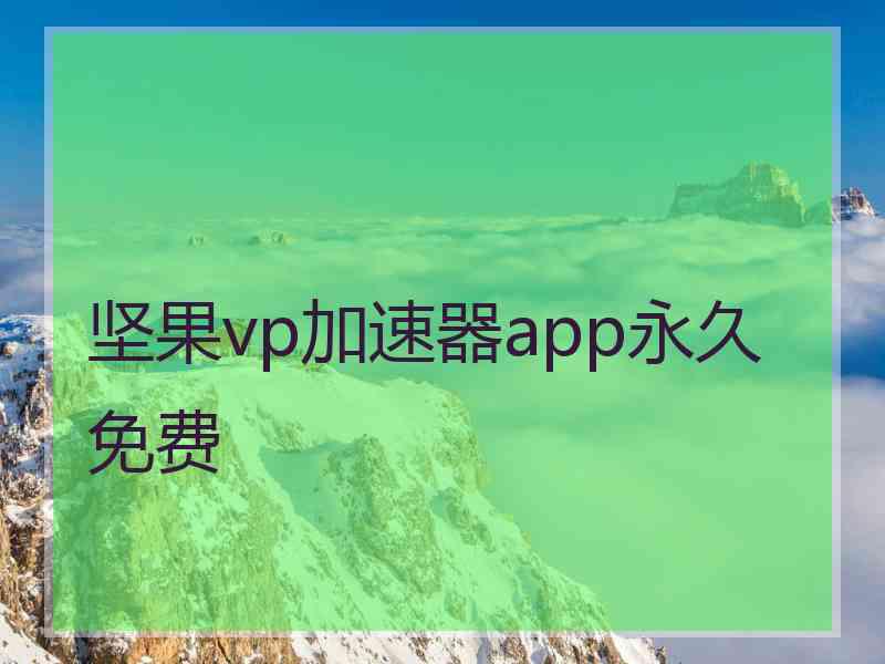 坚果vp加速器app永久免费