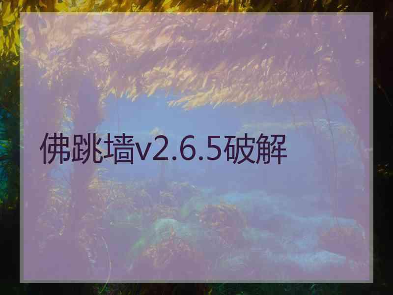 佛跳墙v2.6.5破解