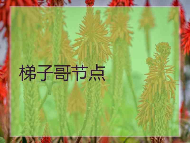 梯子哥节点