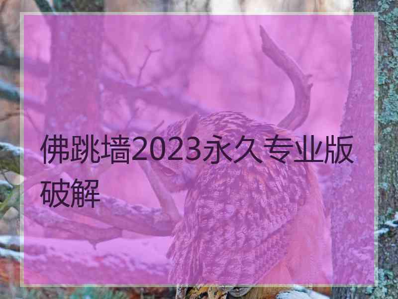 佛跳墙2023永久专业版破解