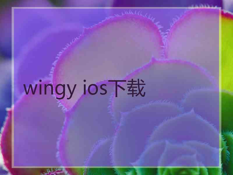 wingy ios下载