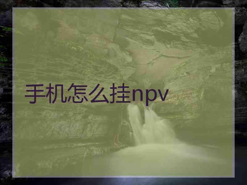 手机怎么挂npv