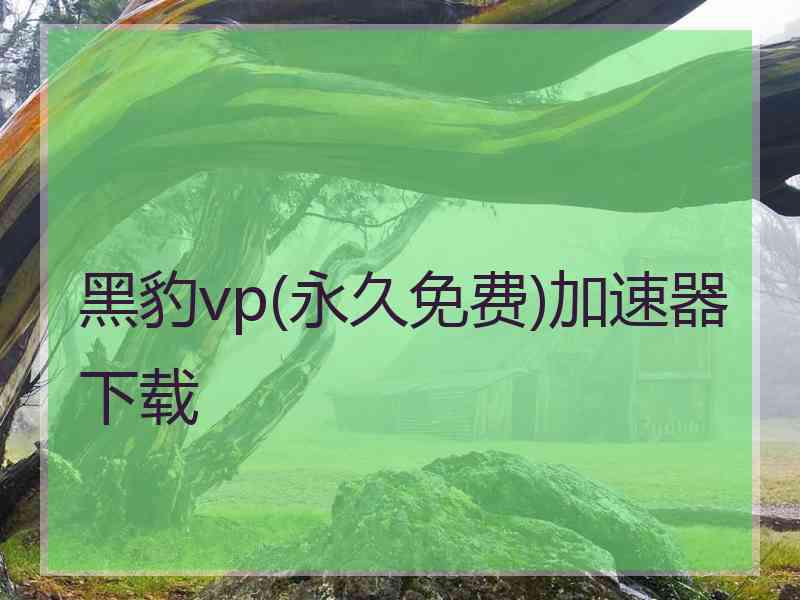 黑豹vp(永久免费)加速器下载