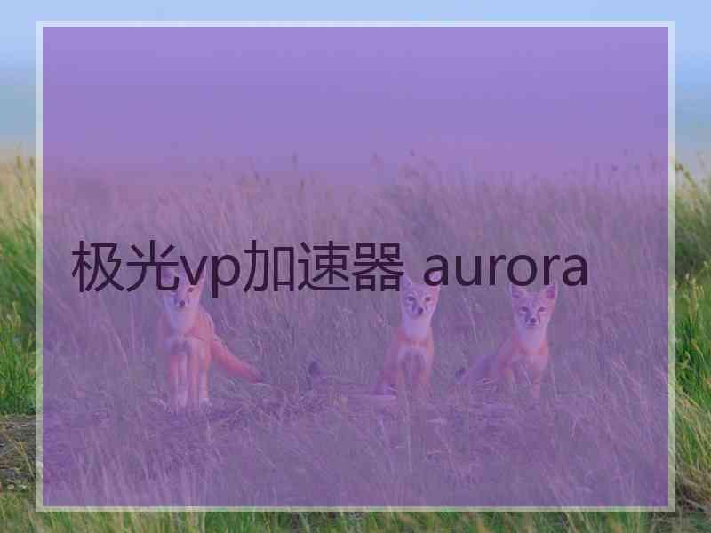 极光vp加速器 aurora