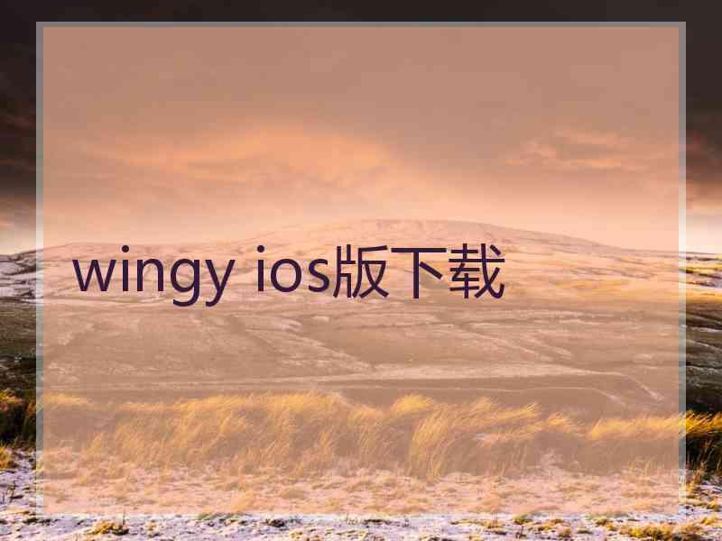 wingy ios版下载