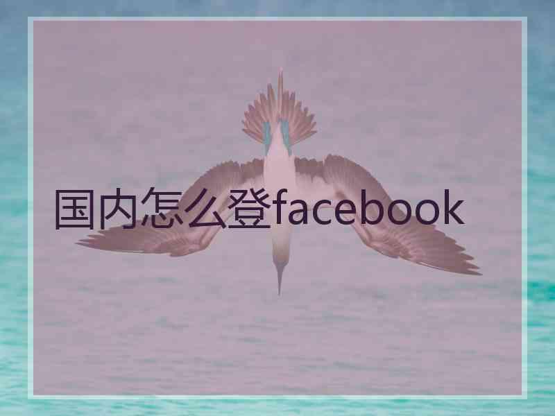 国内怎么登facebook