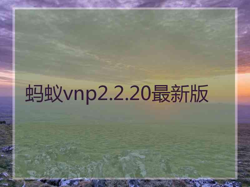 蚂蚁vnp2.2.20最新版