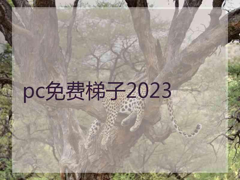 pc免费梯子2023