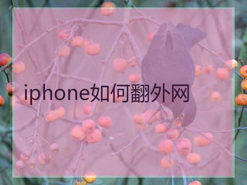 iphone如何翻外网