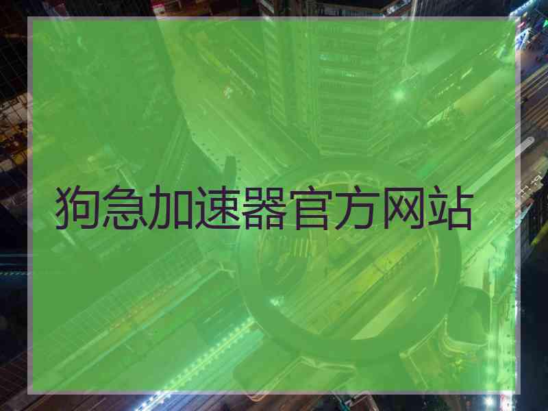 狗急加速器官方网站