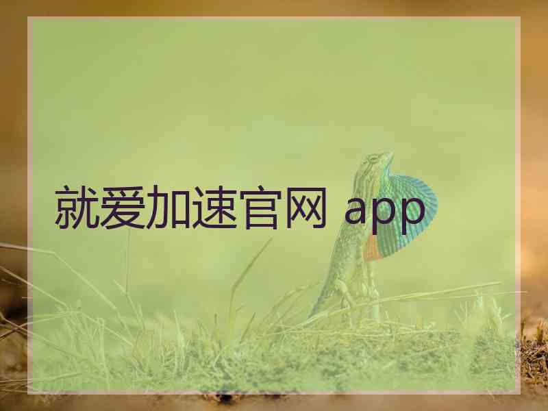 就爱加速官网 app