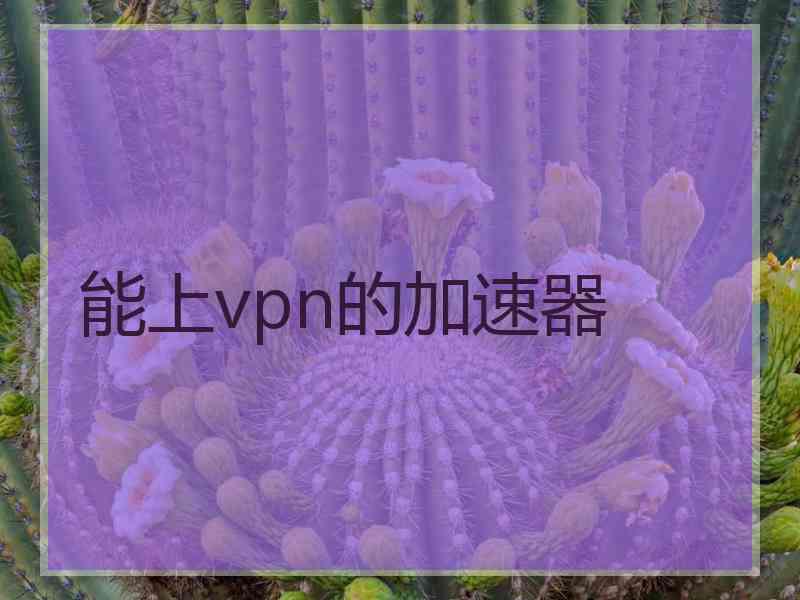 能上vpn的加速器