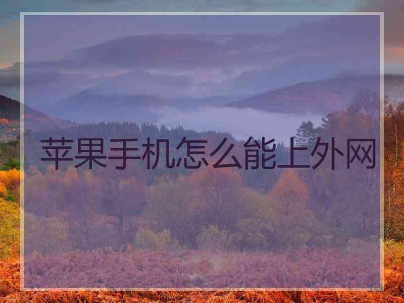 苹果手机怎么能上外网