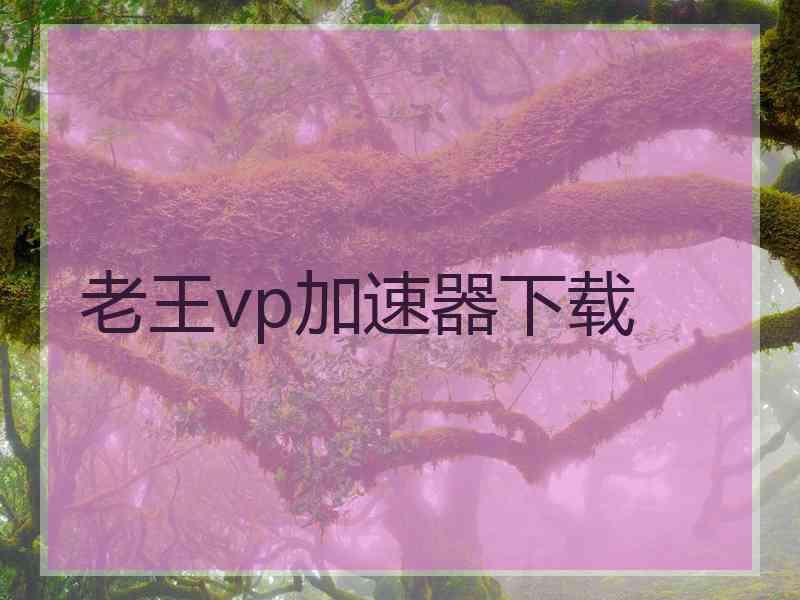 老王vp加速器下载