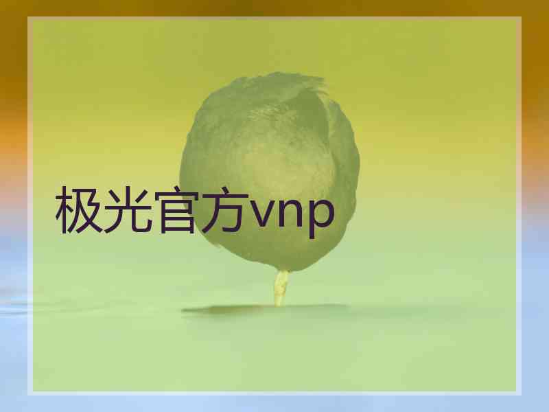 极光官方vnp