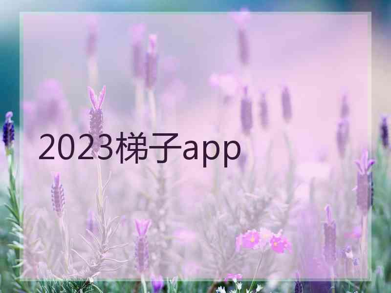 2023梯子app