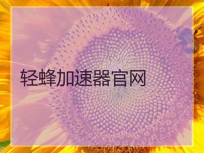 轻蜂加速器官网