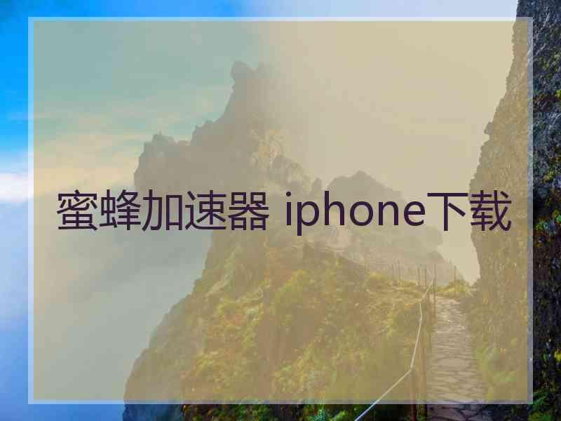 蜜蜂加速器 iphone下载