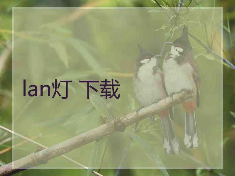 lan灯 下载