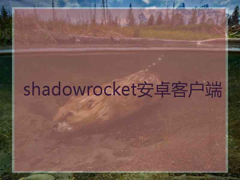 shadowrocket安卓客户端