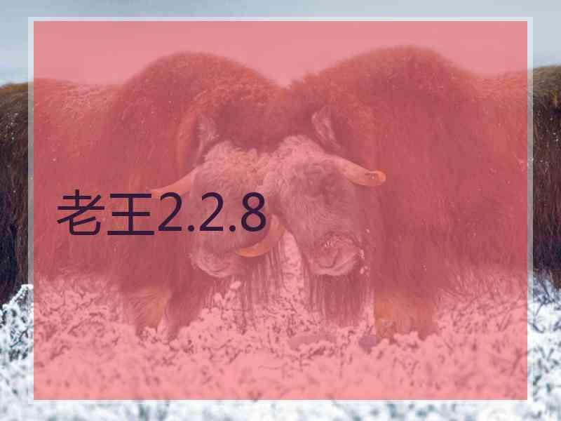 老王2.2.8