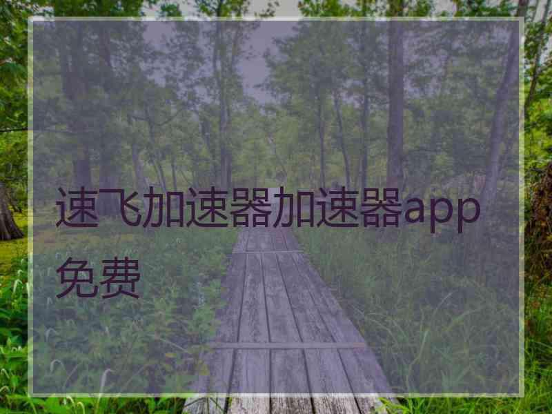 速飞加速器加速器app免费