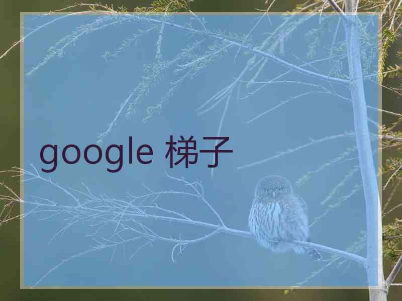 google 梯子