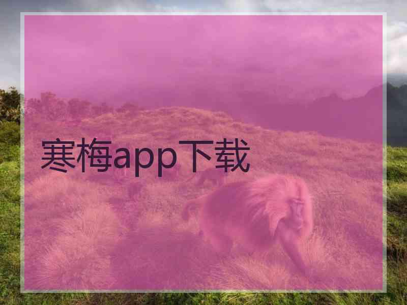 寒梅app下载