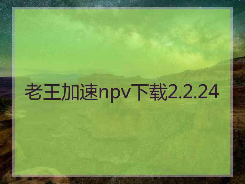 老王加速npv下载2.2.24