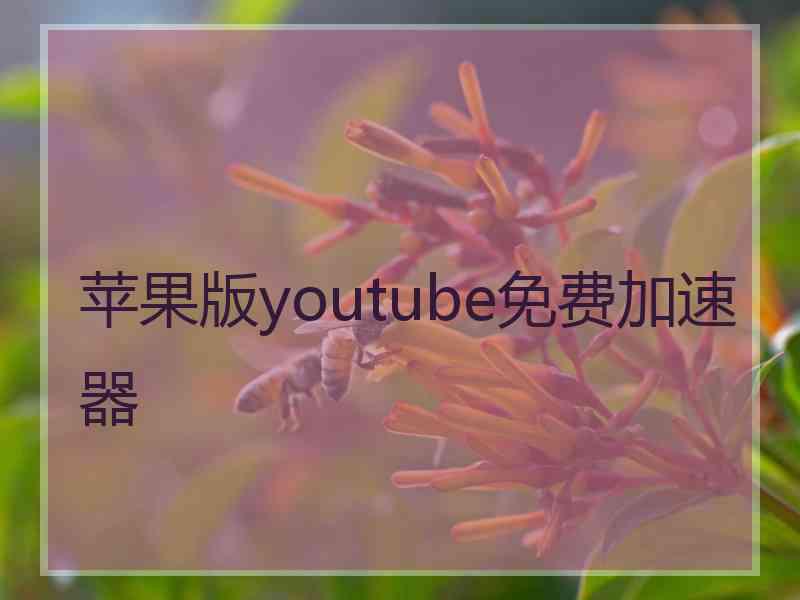 苹果版youtube免费加速器