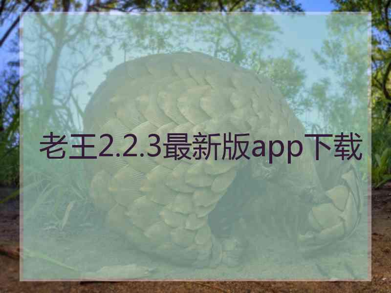 老王2.2.3最新版app下载