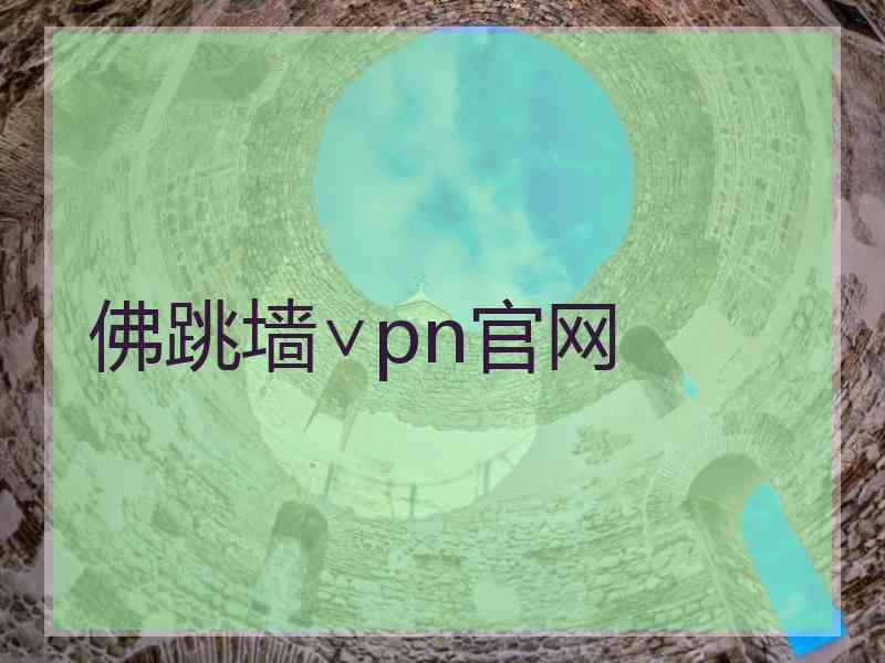 佛跳墙∨pn官网