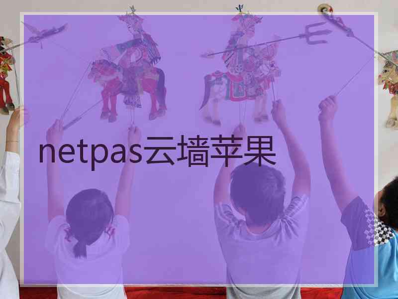 netpas云墙苹果