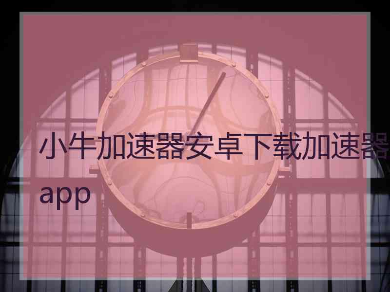 小牛加速器安卓下载加速器app