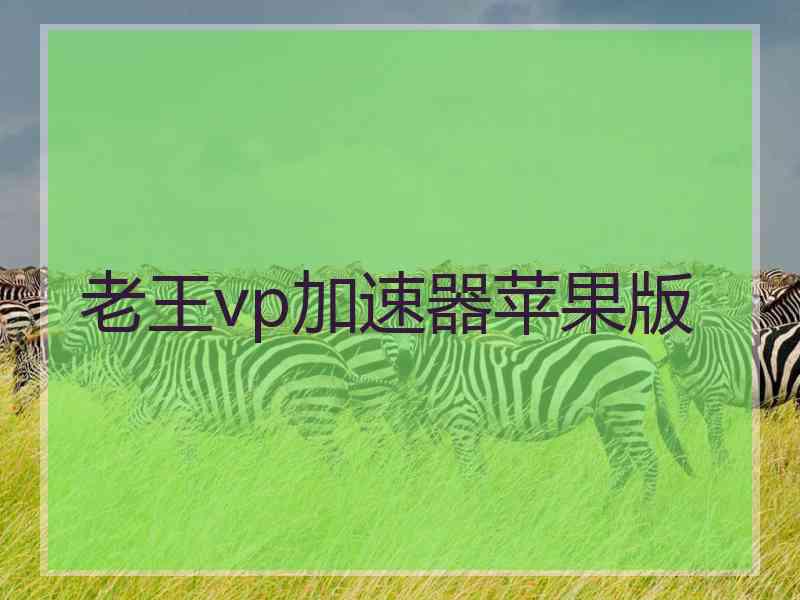 老王vp加速器苹果版