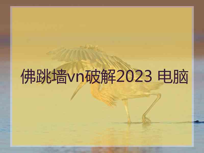 佛跳墙vn破解2023 电脑