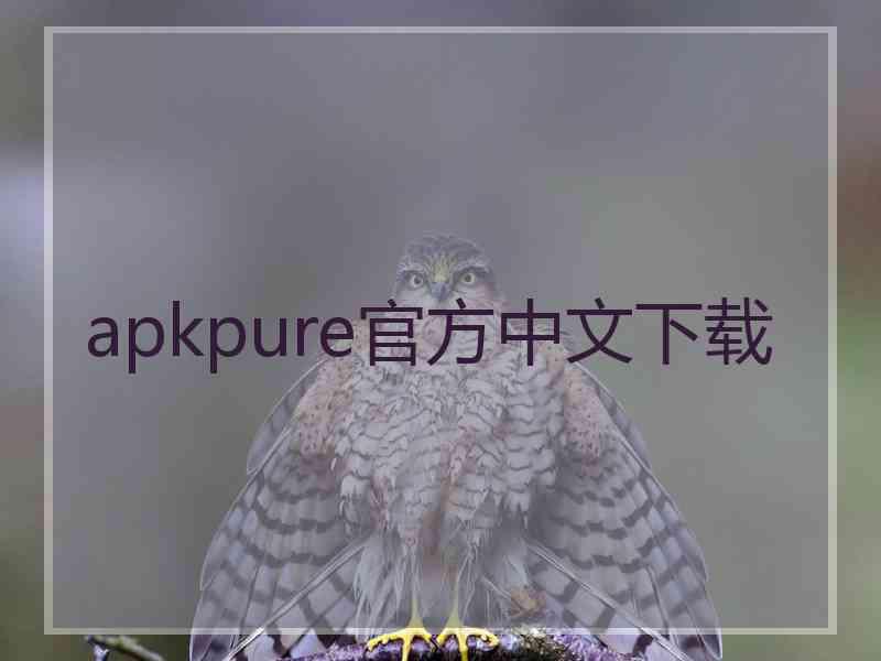 apkpure官方中文下载