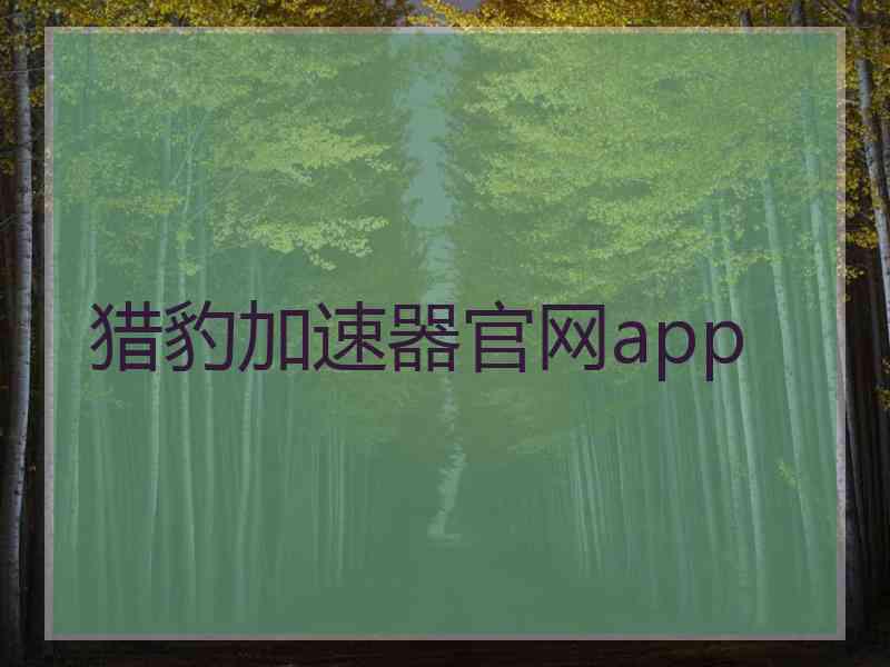 猎豹加速器官网app