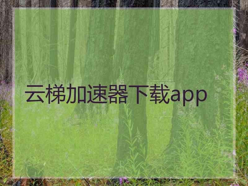 云梯加速器下载app