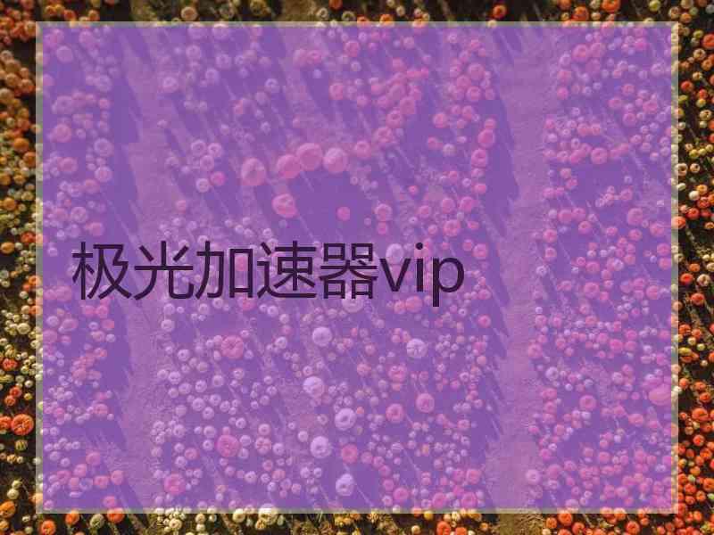 极光加速器vip