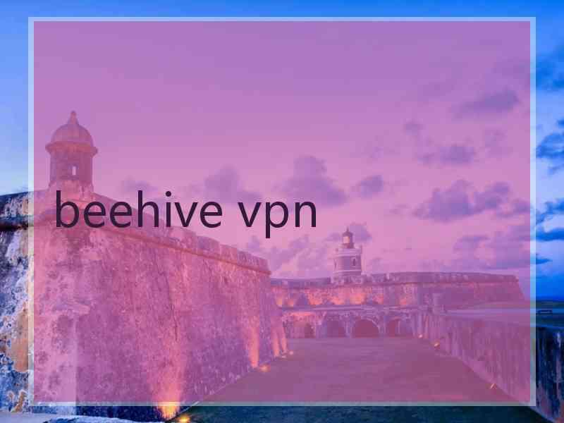 beehive vpn