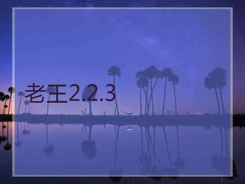 老王2.2.3